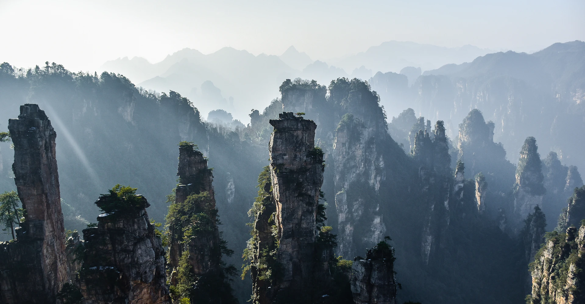 Sandstone pillars of Zhangjiajie National Forest Park