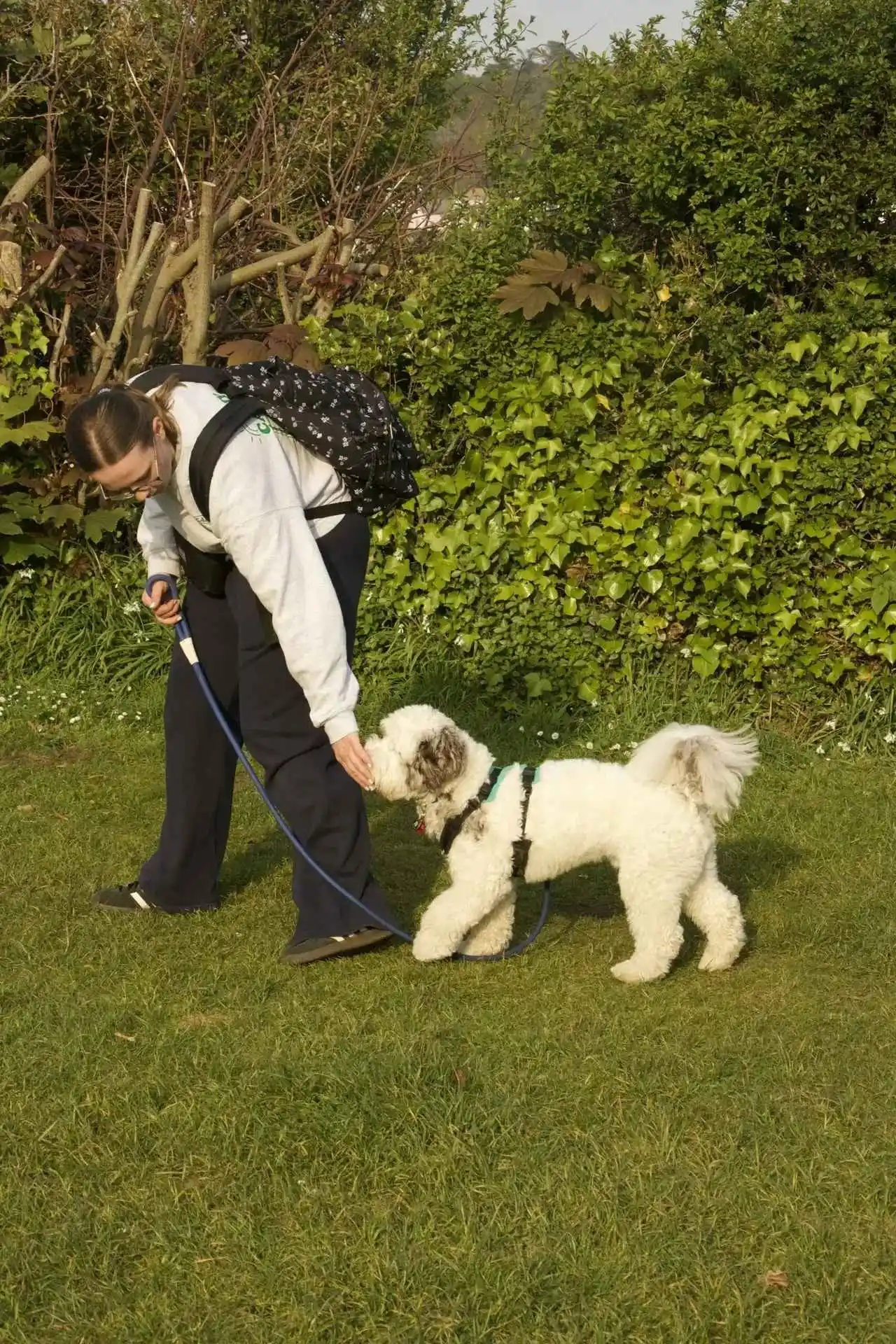 Person bending to pet a small fluffy white dog on a leash in a grassy park area.