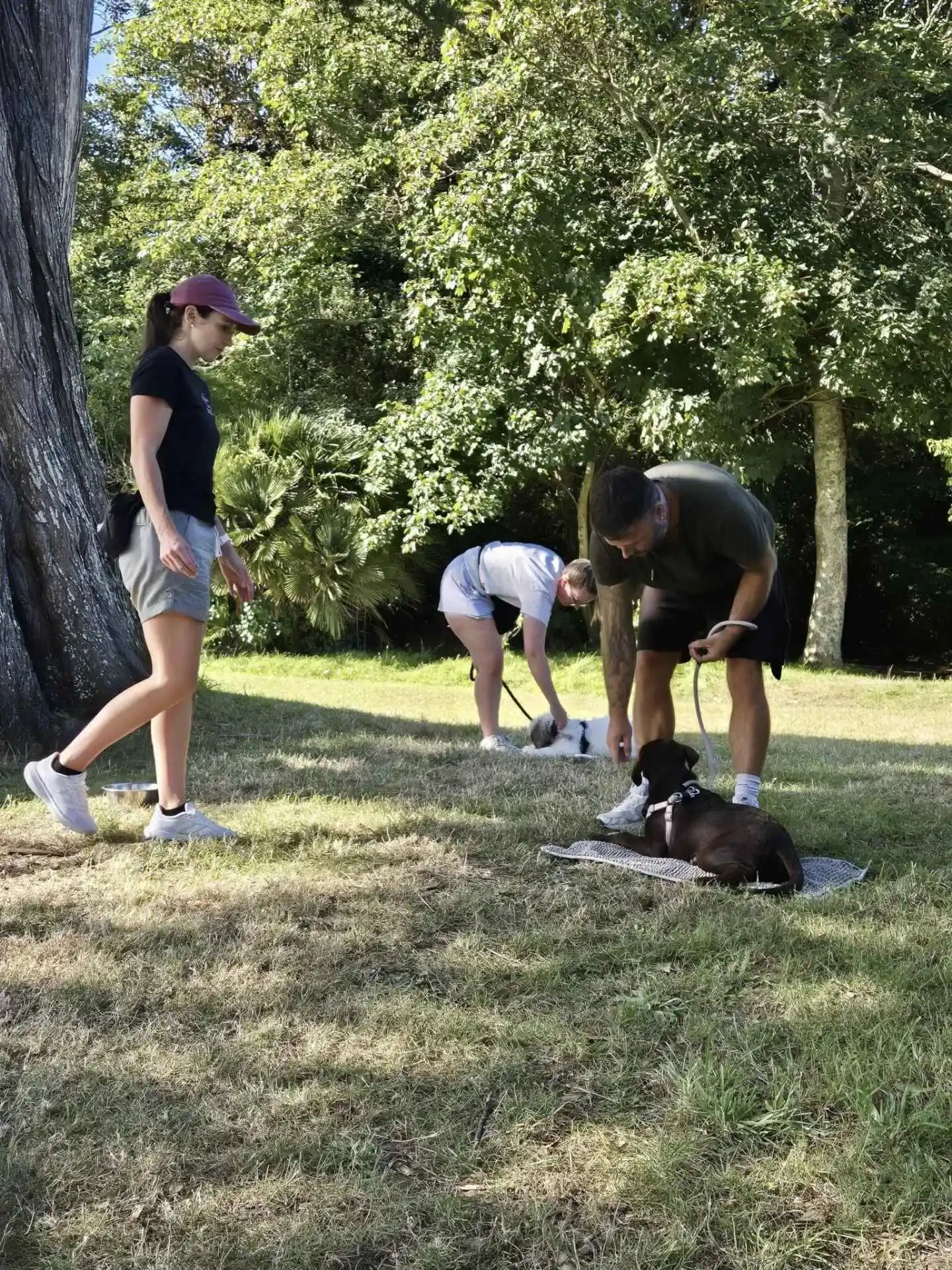Katie training a dog outdoors in Guernsey