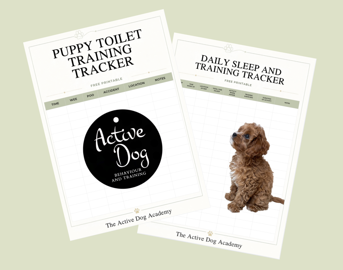 Cover of the free puppy guide