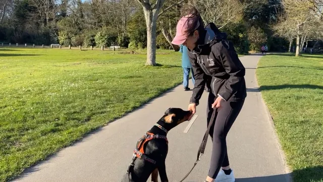 Katie explaining how to deliver treats