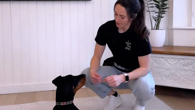 Katie explaining the dog focus game