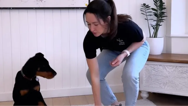 Katie explaining the dog focus game