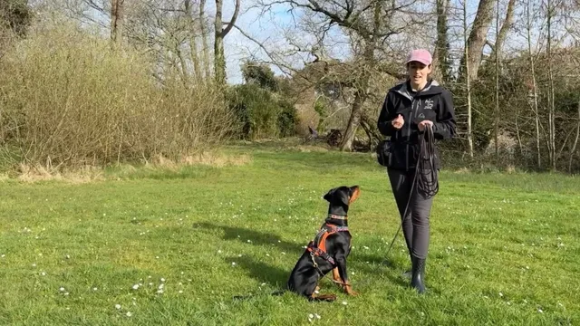 Katie showing the dog focus game outdoors