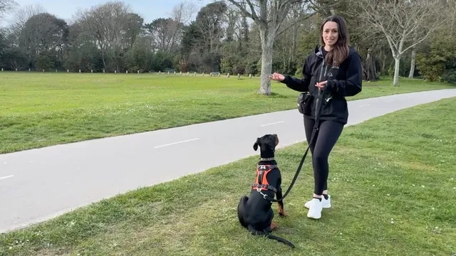 Katie showing how to train your dog around distrations