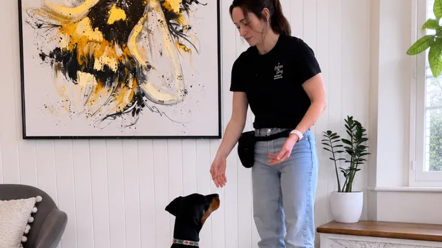 Katie showing how to train sit without food
