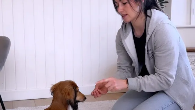 Katie teaching a dog to lie down