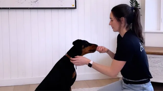 Katie demonstrating the collar touch exercise with a puppy