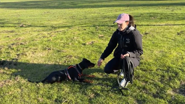 Katie teaching a dog to stay outdoors