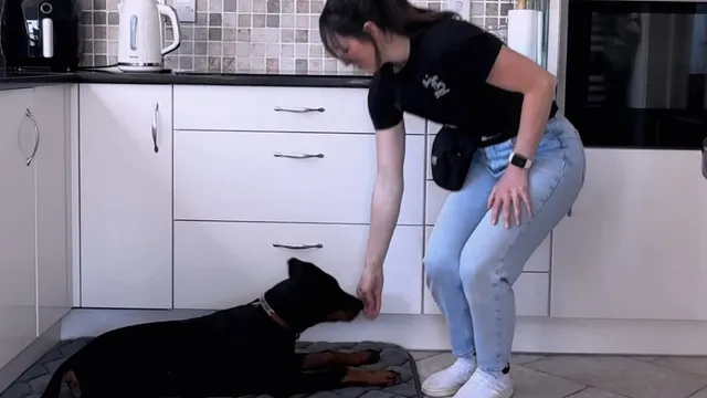 Katie teaching a dog to settle