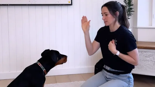 Katie demonstrating the hand touch target with a dog
