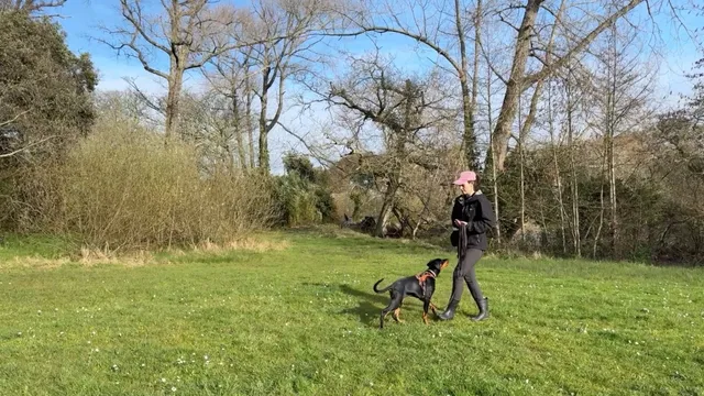 Katie demonstrating backwards lead walking