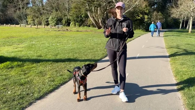 Katie showing how to do walking and turning with a dog