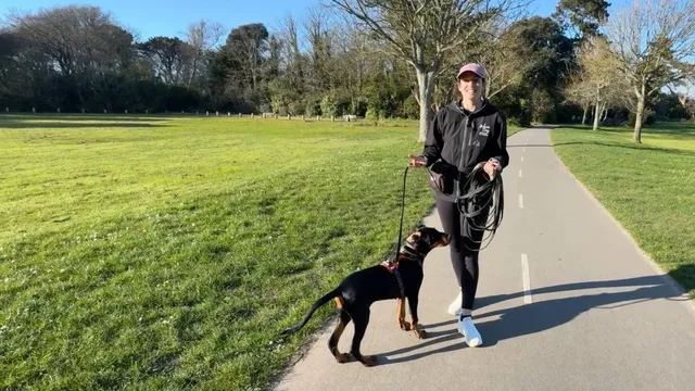 Katie demonstrating the dog walking pattern game