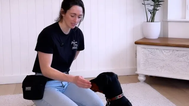 Katie teaching a wait with a puppy