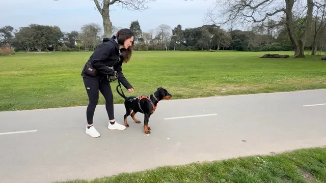 Katie teaching a puppy wait outdoors