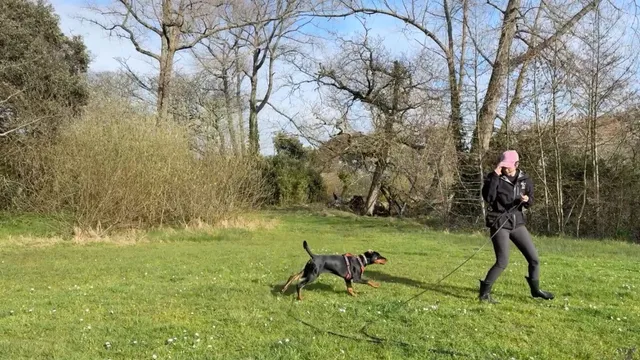 Katie demonstrating the dog zig zag game