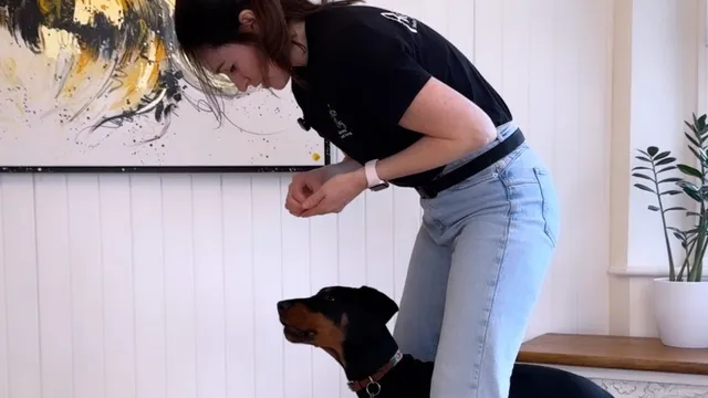 Katie teaching a dog the middle stay position