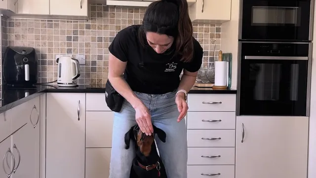 Katie showing how to get a dog to come from the front to middle position