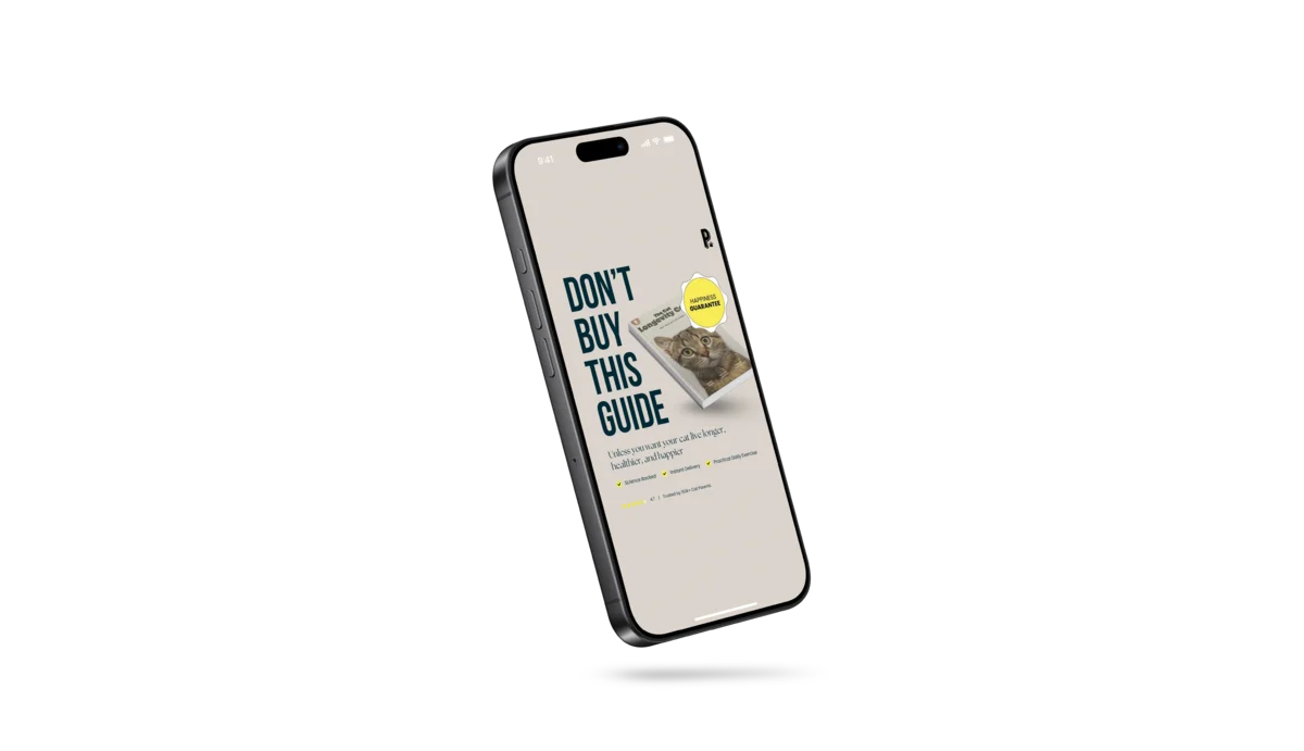 Slidesignus portfolio on coffee brand