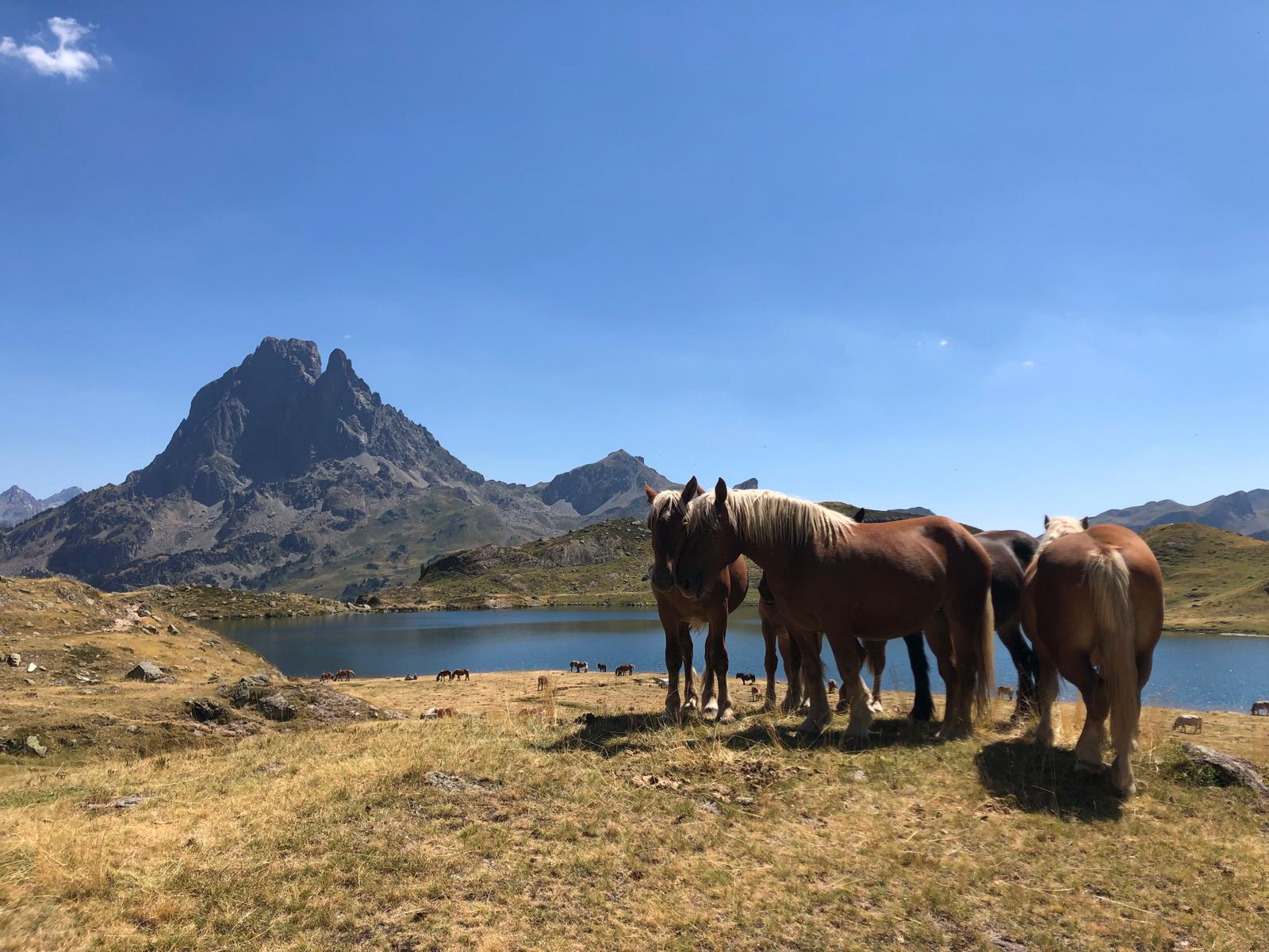 Retraite yoga et randonnée dans les Pyrénées autour des Lacs d'Ayous.