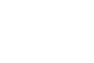 The logo of the software company Shopify