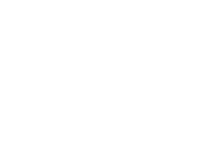 The logo of the software company Shopware