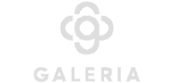 The logo of the software company Shopify
