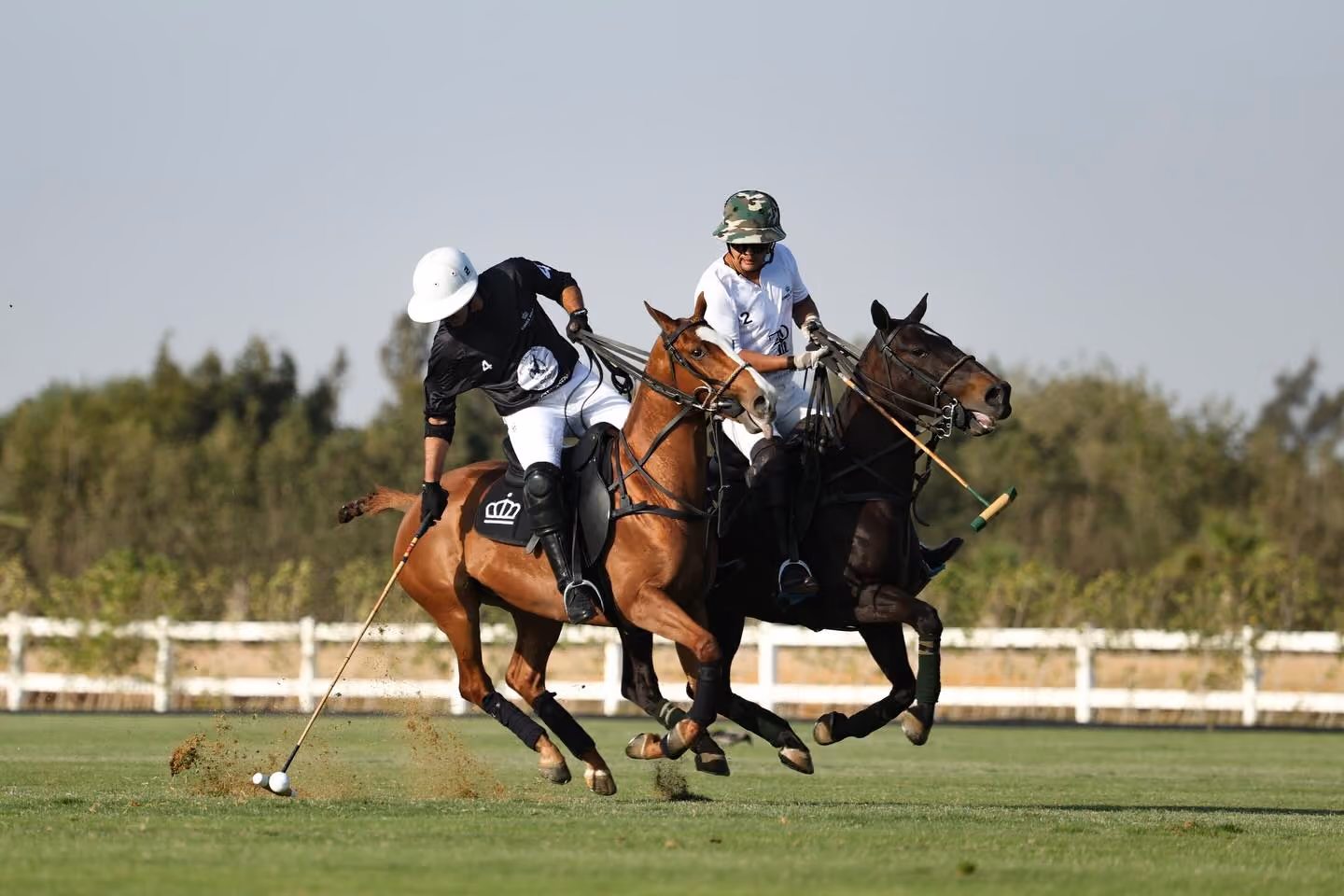 King's Polo Cup