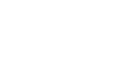 INGOT