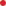A solid red circle with a slight glossy shine on a transparent background.