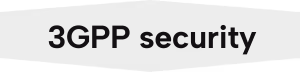 Text reading '3GPP security' on a black background with faint orange and white shadows.