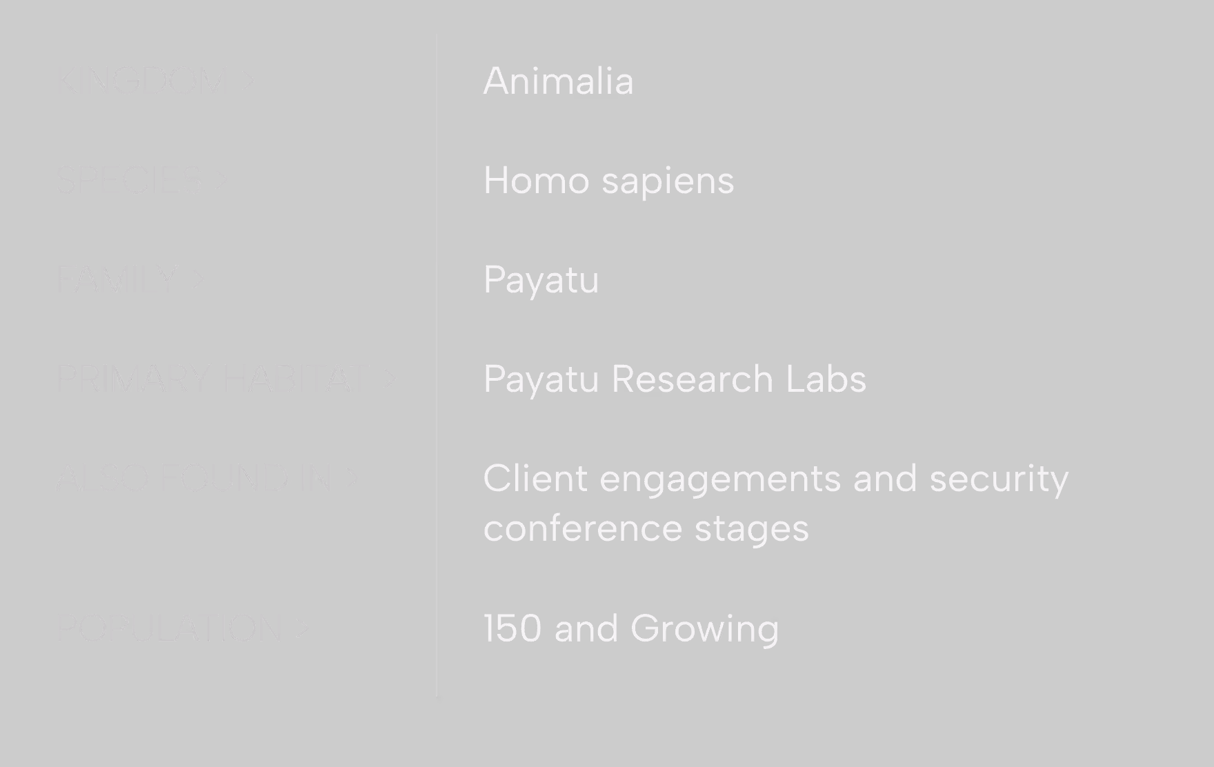 Text layout showing classifications and habitat of a group: Kingdom Animalia, Species Homo sapiens, Family Payatu, Primary Habitat Payatu Research Labs, Also Found In client engagements and security conference stages, Population 150 and Growing.
