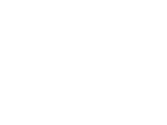 Nullcon International Security Conference logo featuring a stylized 'N' within an oval shape above the conference name.