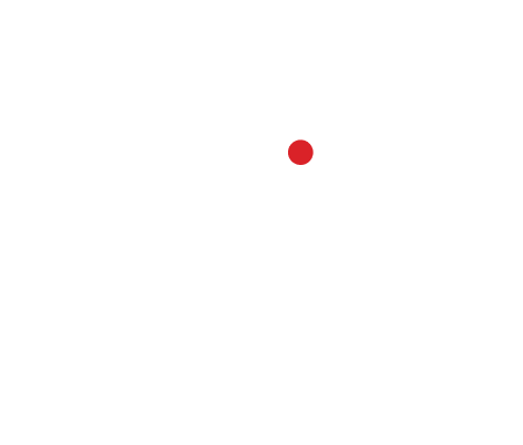 Icon of a document with lines of text and a magnifying glass with a red lens over it above the words 'Technical Expertise'.