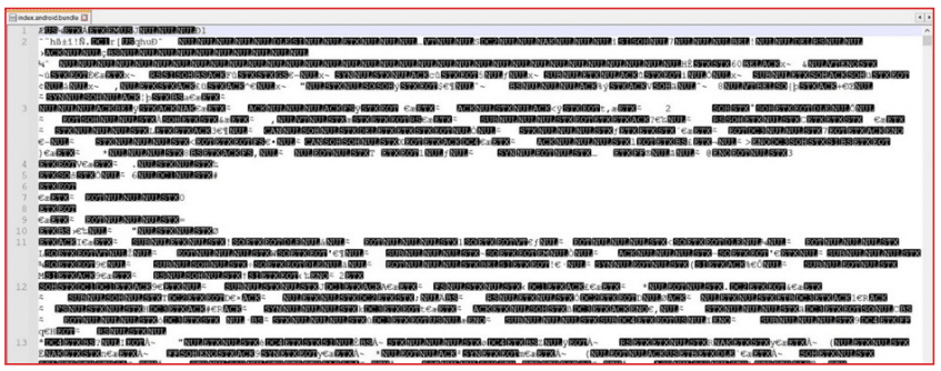 Screenshot of a text editor window containing a block of scrambled or encoded characters and symbols, indicating unreadable or encrypted data with a highlighted red border around the window.