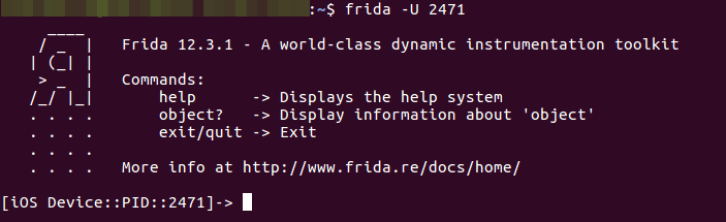 ios pentesting tools - Frida