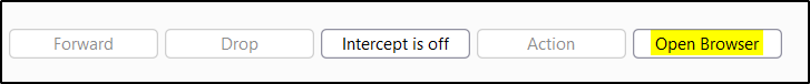 Burpsuite-browser