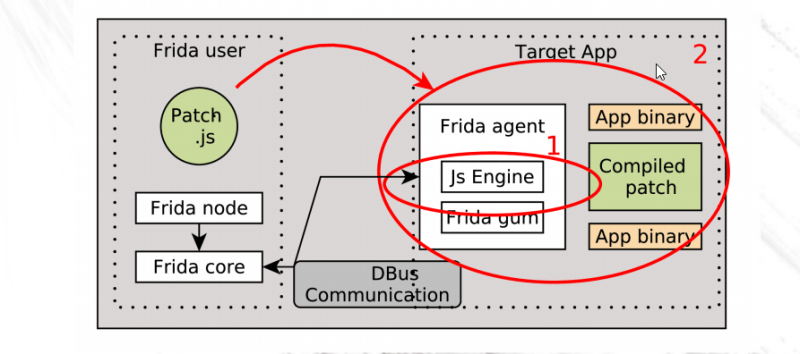 imgae-3