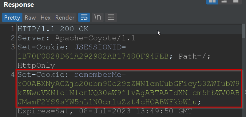 Screenshot showing Base64-encoded serialized data