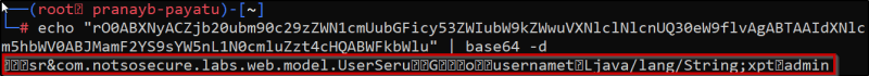 Screenshot showing Base64-decoded serialized data