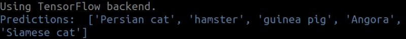 pred.png