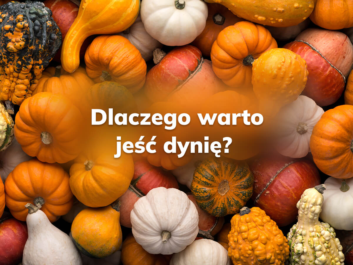 Zdjęcie ilustrujące artykuł na blogu
