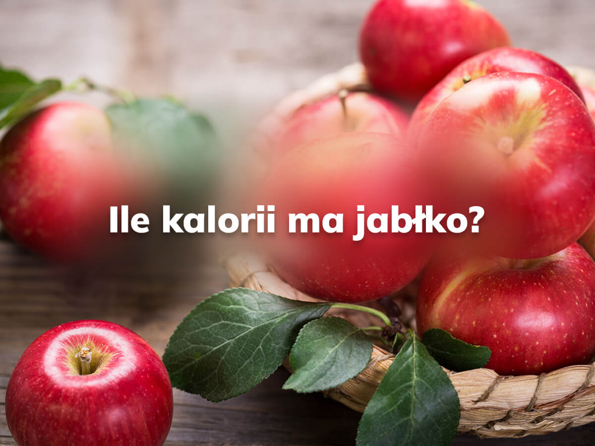 Zdjęcie ilustrujące artykuł na blogu