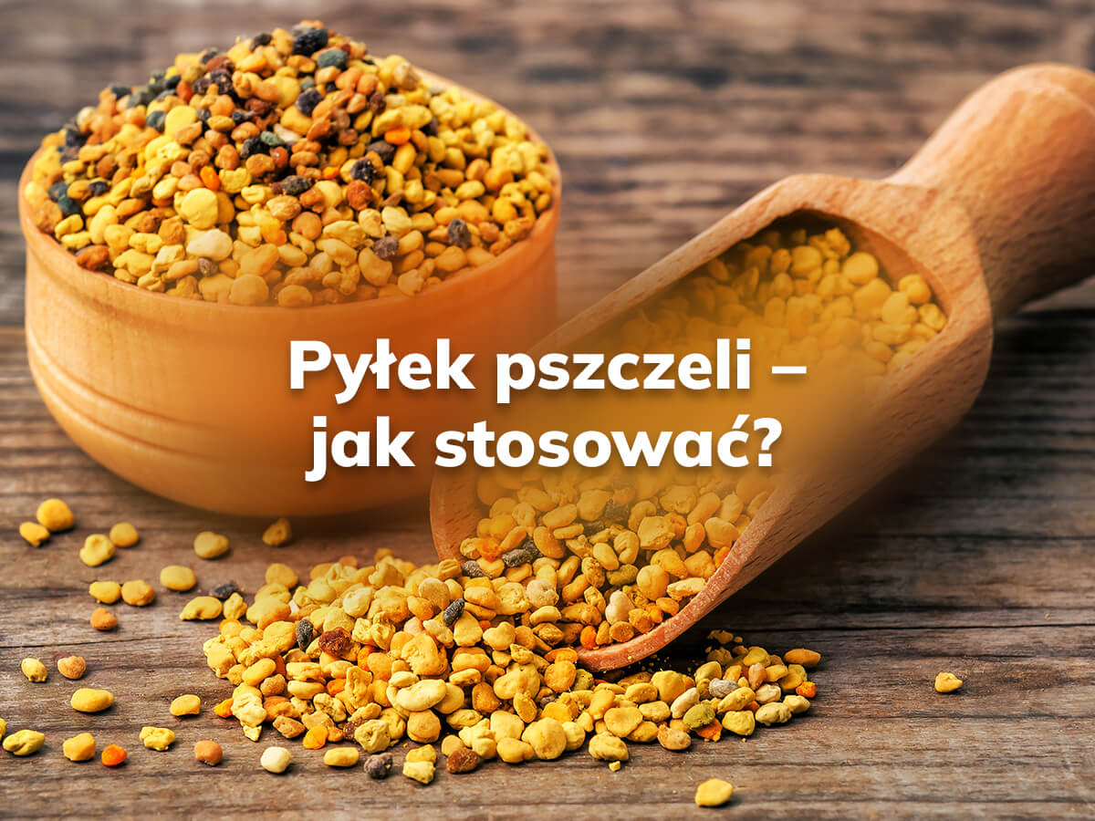 Zdjęcie ilustrujące artykuł na blogu