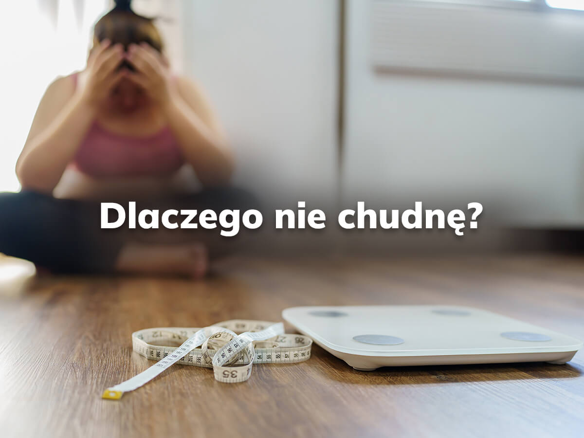 Zdjęcie ilustrujące artykuł na blogu