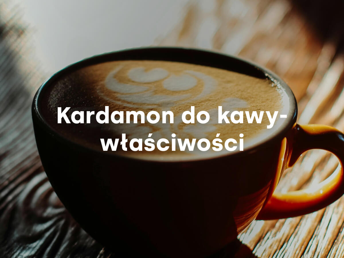 Zdjęcie ilustrujące artykuł na blogu