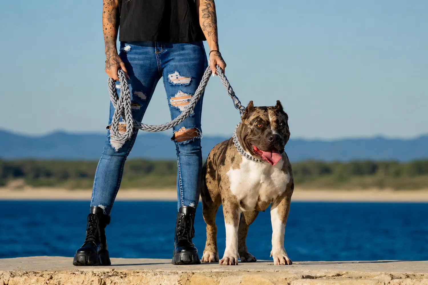 XXL Luxor Bullys Pepsi