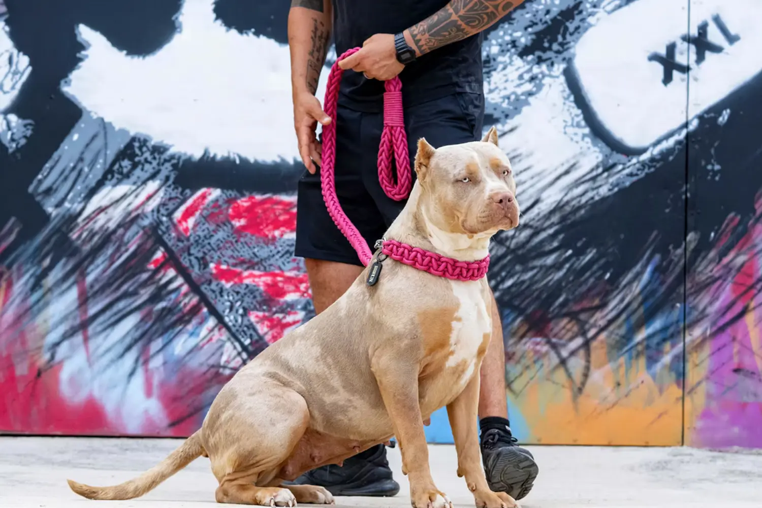 XXL Luxor Bullys Coconut Kiss